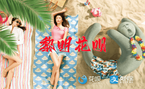 人才济济花呗